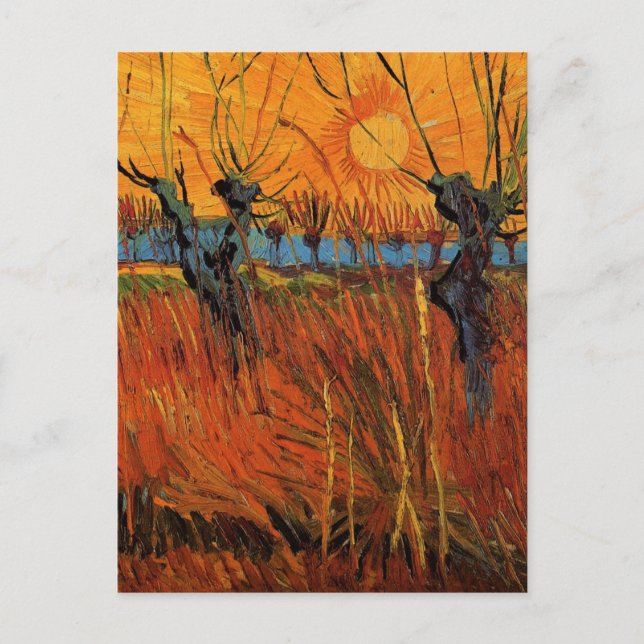 Willows at Sunset by Vincent van Gogh Postcard (Front)