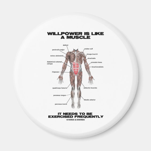 Willpower Is Like A Muscle Needs To Be Exercised Magnet (Front)