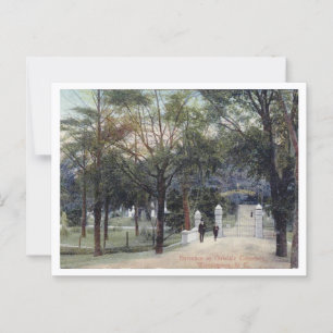 Wilmington NC Oakdale Cemetery, 1910s Postcard