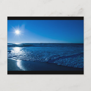 Wilmington NC Postcard