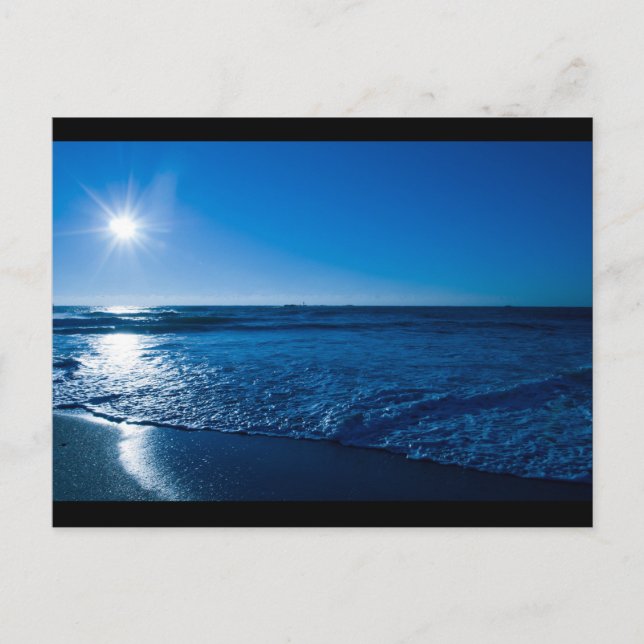 Wilmington NC Postcard (Front)