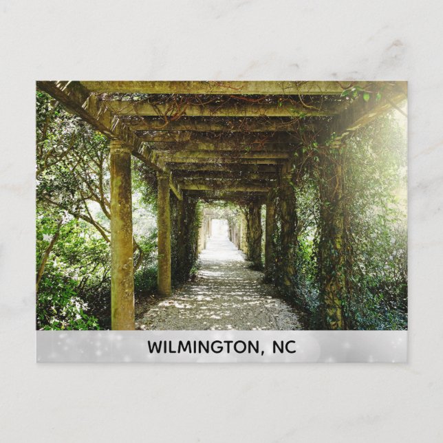 Wilmington North Carolina Airlie Gardens Travel Postcard (Front)