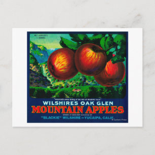 Wilshire's Oak Glen Apple Crate Label Postcard