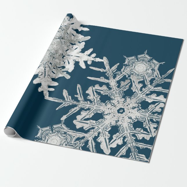 WILSON BENTLEY SNOW FLAKE COLLAGE ON NIGHT BLUE WRAPPING PAPER (Unrolled)