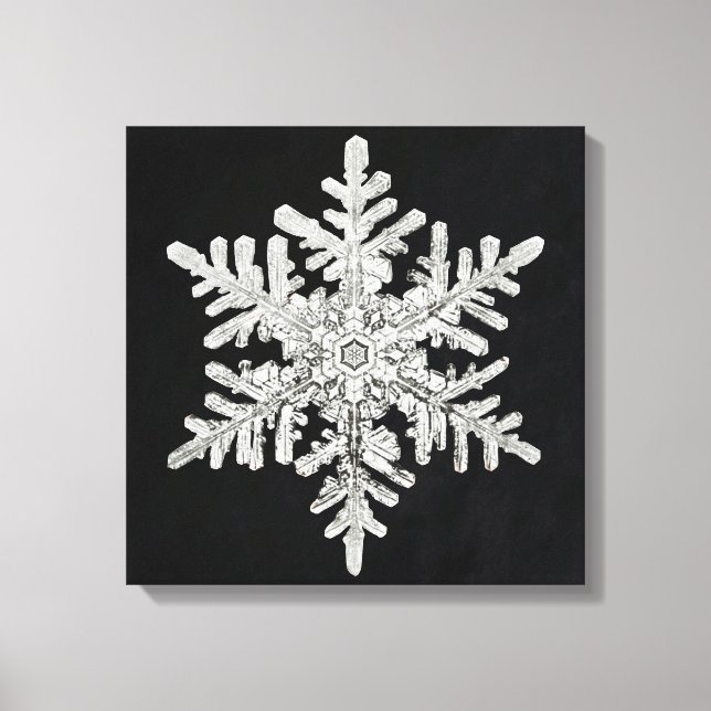 Wilson Bentley's Snowflake Canvas Print (Front)