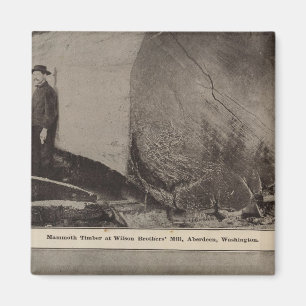 Wilson Bros Mill Bird's eye view of Aberdeen Magnet