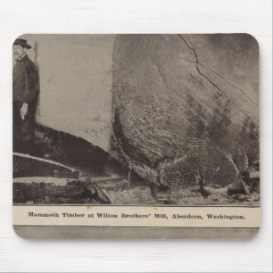 Wilson Bros Mill Bird's eye view of Aberdeen Mouse Pad