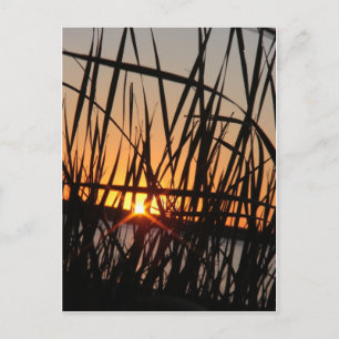 WILSON LAKE SUNSET POSTCARD