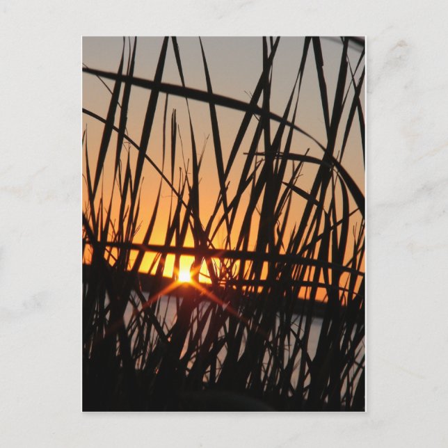 WILSON LAKE SUNSET POSTCARD (Front)