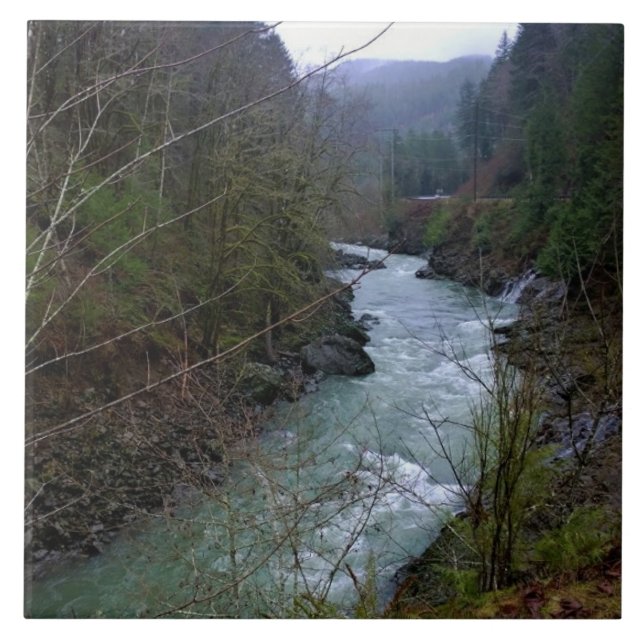 Wilson River, OR Ceramic Tile (Front)