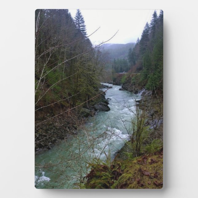 Wilson River, OR Plaque (Front)