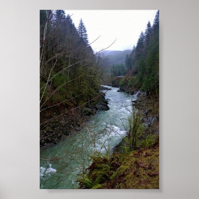 Wilson River, OR Poster (Front)