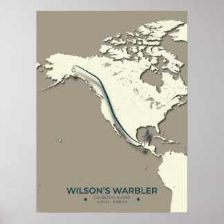 Wilson’s Warbler Migration Map – Minimalist Poster