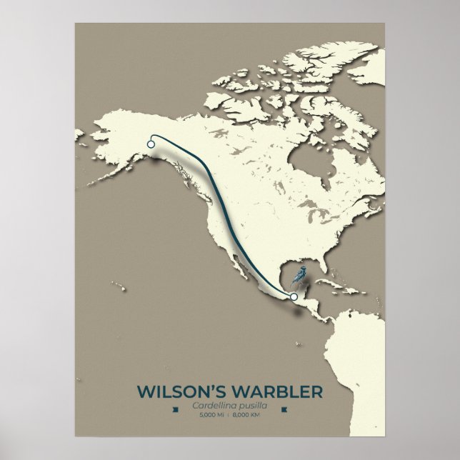 Wilson’s Warbler Migration Map – Minimalist Poster (Front)