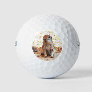 Wilson Ultra "Peanut" Ground Squirrel Golf Balls