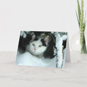 WiLSoN XMaS Greeting Card