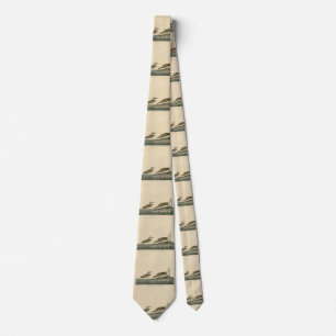 Wilson's Plover from Audubon's Birds of America Tie