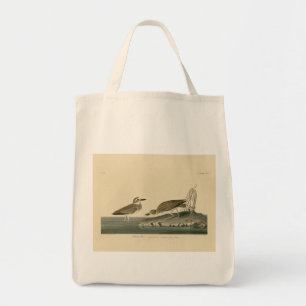 Wilson's Plover from Audubon's Birds of America Tote Bag