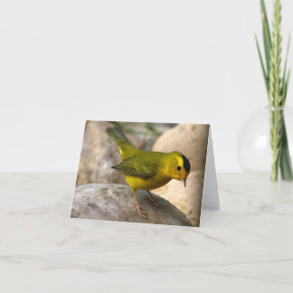 Wilson's Warbler - Joe Sweeney - card