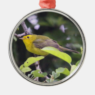 Wilson's Warbler Metal Ornament