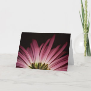 Wilted Purple Daisy Card