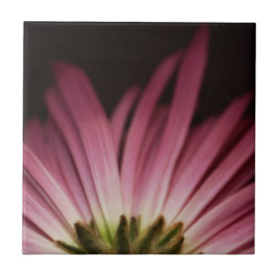 Wilted Purple Daisy Ceramic Tile