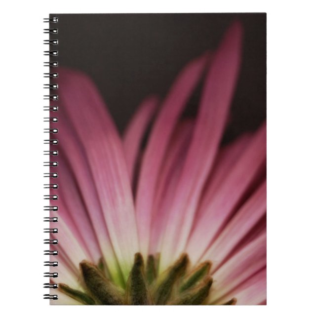 Wilted Purple Daisy Notebook (Front)