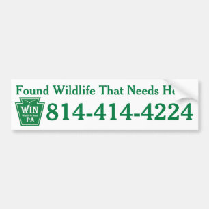 WIN LOGO Phone Number Bumper Sticker
