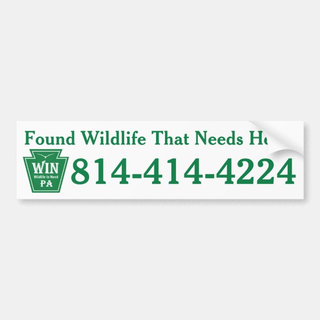 WIN LOGO   Phone Number Bumper Sticker (Front)