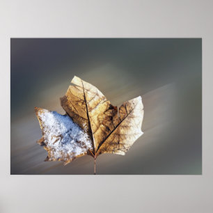 wind and snow poster