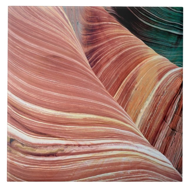 Wind and water eroded Navajo  sandstone in Tile (Front)