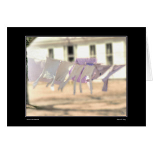 Wind in the Washline