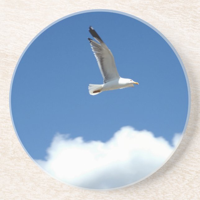 Wind Master Coaster (Front)