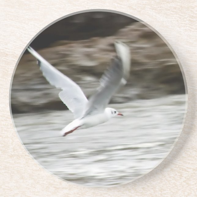 Wind Master Coaster (Front)