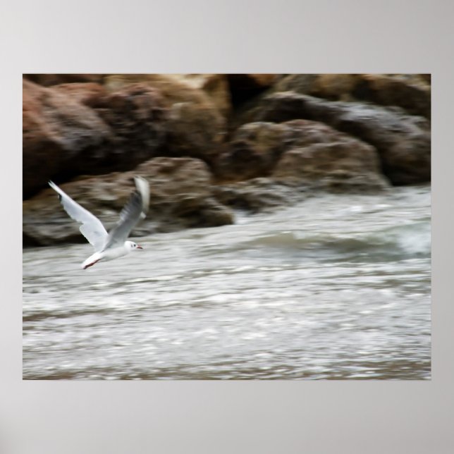 Wind Master Print (Front)