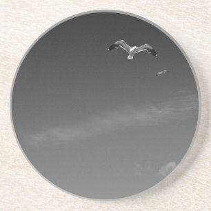 Wind Masters Coaster