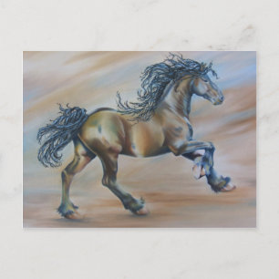 Wind Racer Postcard