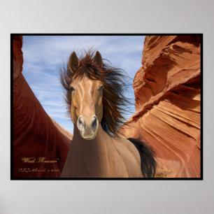 "Wind Runner", Wild Stallion Poster Print