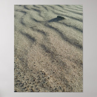 Wind shapes sand ripples, around smooth pebbles poster