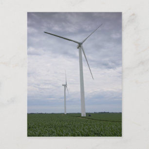 Wind Turbines in Cornfield Postcard