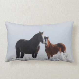 Wind Walker/Sky Dancer Pillow