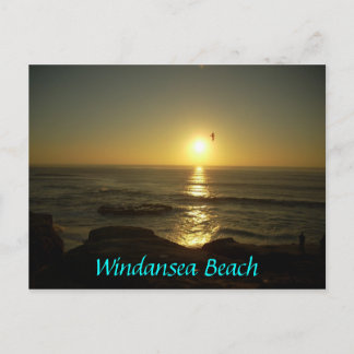 Windansea Beach Postcard