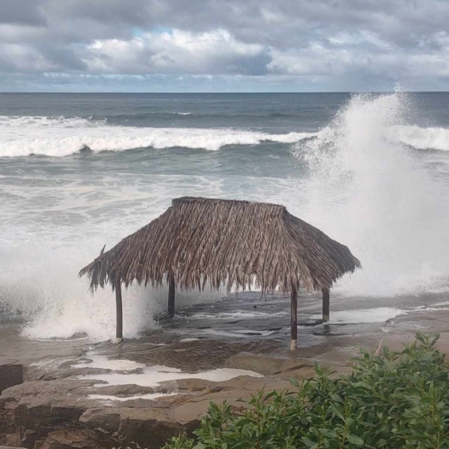 Windansea  T-Shirt (Creator Uploaded)