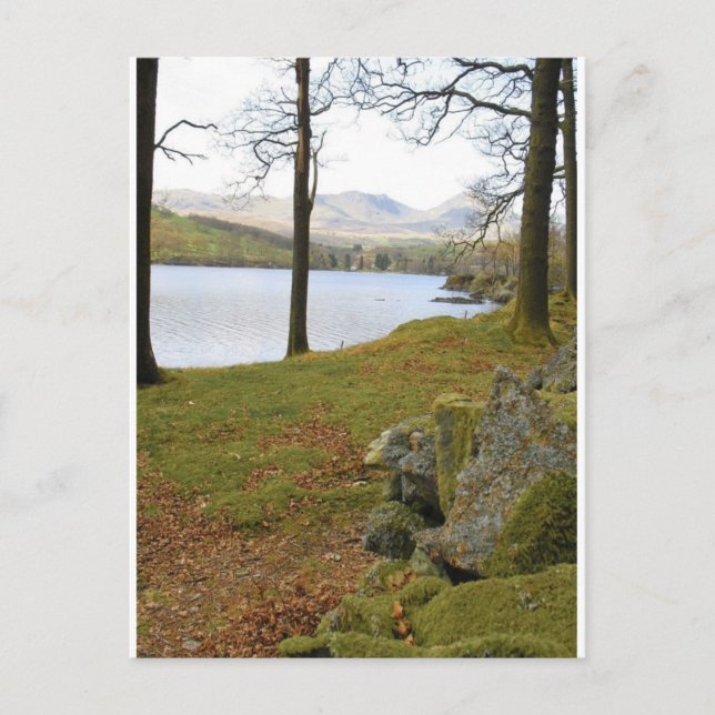 Windermere Lake In Lake District Postcard (Front)