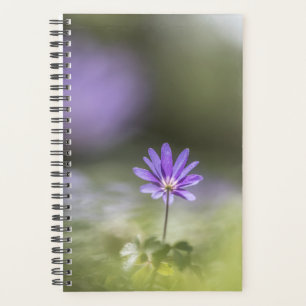 Windflower Nature Photo Planner