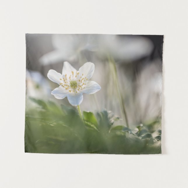 Windflower Nature Photo Tapestry (Front (Horizontal))