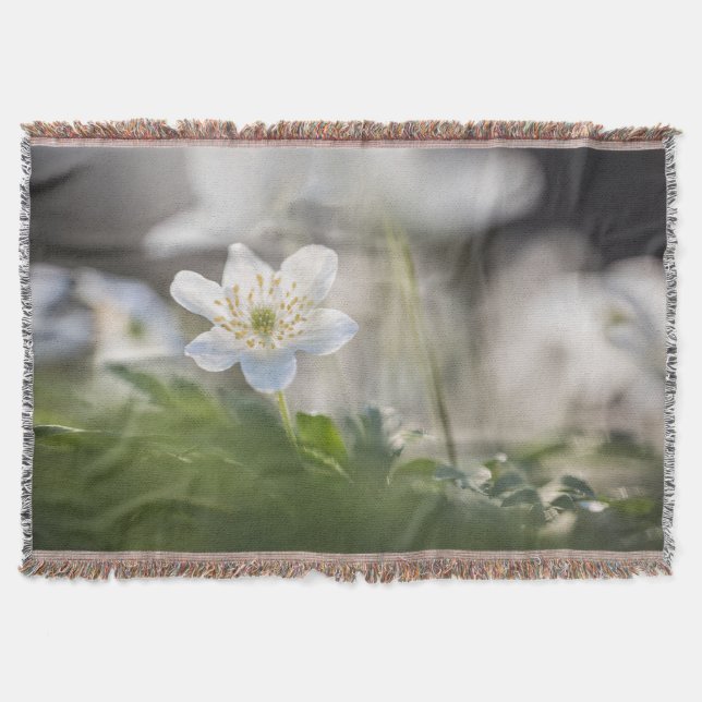 Windflower Nature Photo Throw Blanket (Front)