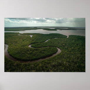 Winding Everglades Poster
