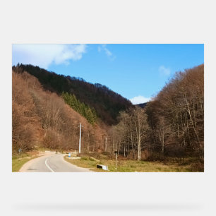 Winding Road Through Forest – Wild Nature Romania Acrylic Sign