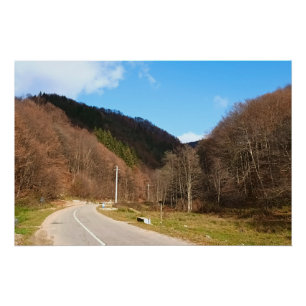 Winding Road Through Forest – Wild Nature Romania Poster